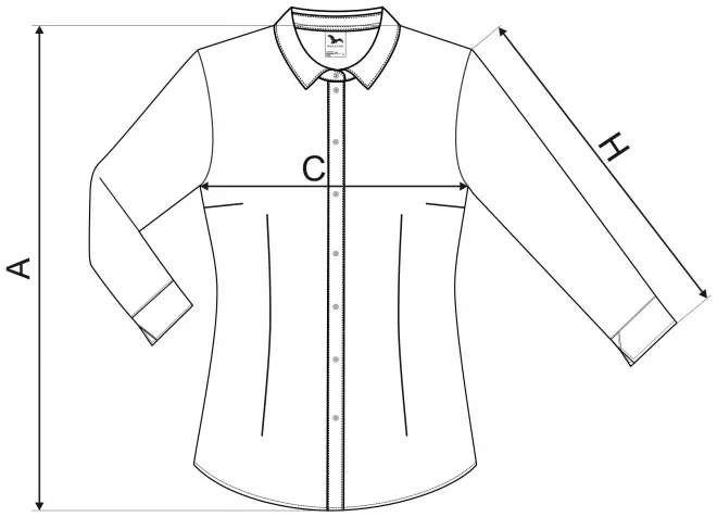 Ženska bluza s dugim rukavima - tablica dimenzija